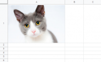 Image of a cat inserted into a Google sheet